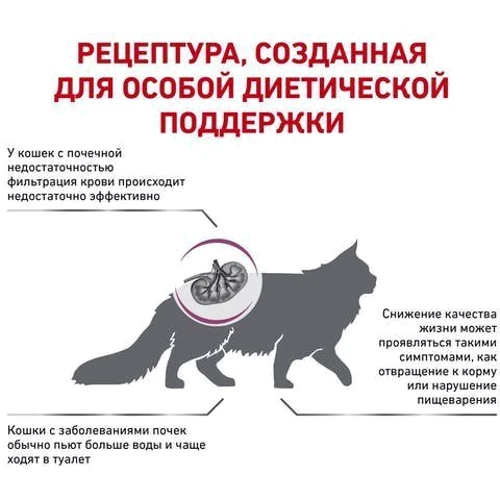Сухой корм для котов Royal Canin Renal Feline при почечной недостаточности 2 кг (39000209): Возраст Взрослые