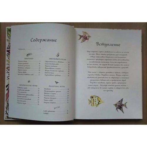 Хелен Апорнсири: Жизнь в океане: ISBN 978-5-00117-922-1