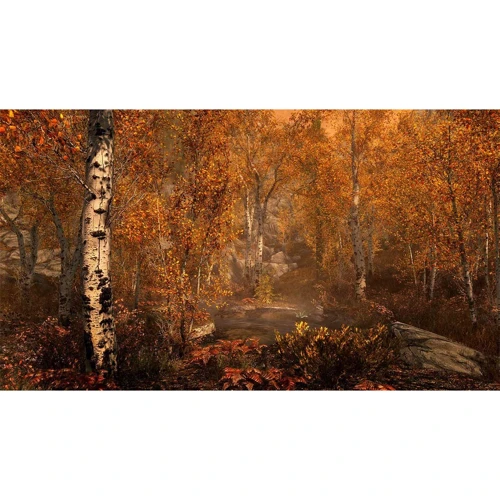 The Elder Scrolls V: Skyrim Special Edition (PS4) фото 7