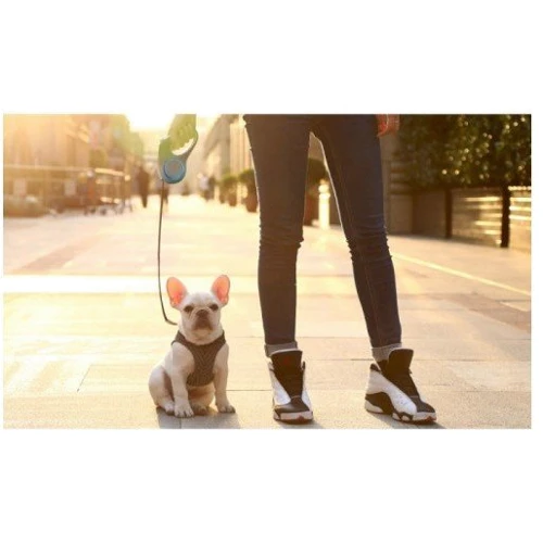 Поводок Petkit Go Shine 3 м (P2101) фото 8