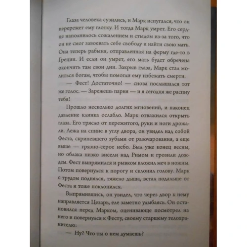 Саймон Скэрроу. Гладиатор. Книга 2. Уличный боец фото 7