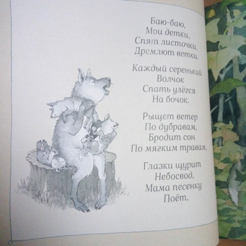 Тімоті Напман: Бродить сон по м'яким травам: Виробник машини Творіння
