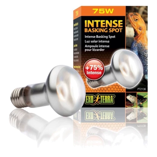 

Лампа накаливания для террариума Exo Terra Intense Basking Spot S20/75W (15561221368)