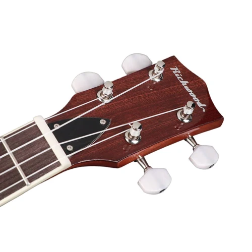 Банджо Richwood RMBU-404