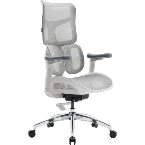 Офисное кресло Sihoo DORO S100 Mesh White (S100-M302)