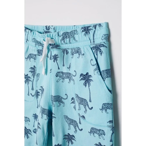 Шорты H&M 5689057 110 см бирюзовые: Тип Шорты