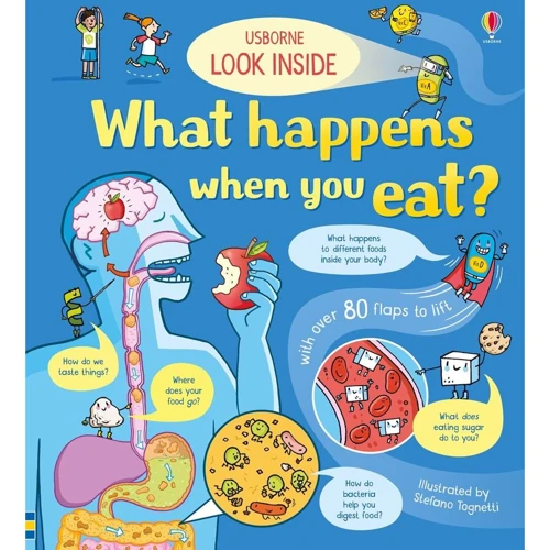 Look Inside. What Happens When You Eat / Загляньте всередину, что відбувається, коли ви їсте