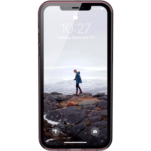 Чехол для iPhone Urban Armor Gear UAG [U] Lucent Dusty Rose (11236N314848) for iPhone 12 Pro Max: Цвет розовый