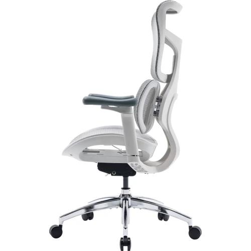 Офисное кресло Sihoo DORO S100 Mesh White (S100-M302)