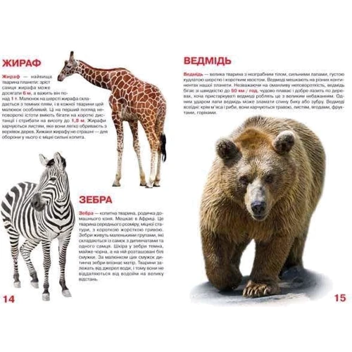 Велика книжка. Дикі тварини: Количество страниц 16