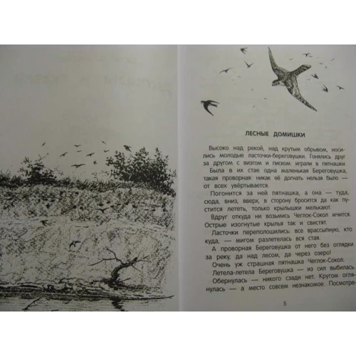 Виталий Бианки: Рассказы и сказки: ISBN 978-5-222-34773-7