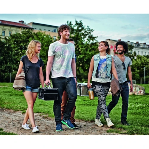 Газовый переносной гриль Weber Go-Аnywhere Gas 1141075: Материал Сталь