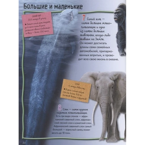 Джіні Джонсон: Тварини: Кількість сторінок 160
