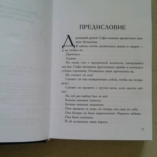 Шеннон Мессенджер: Полёт на единороге: Автор Шеннон Мессенджер