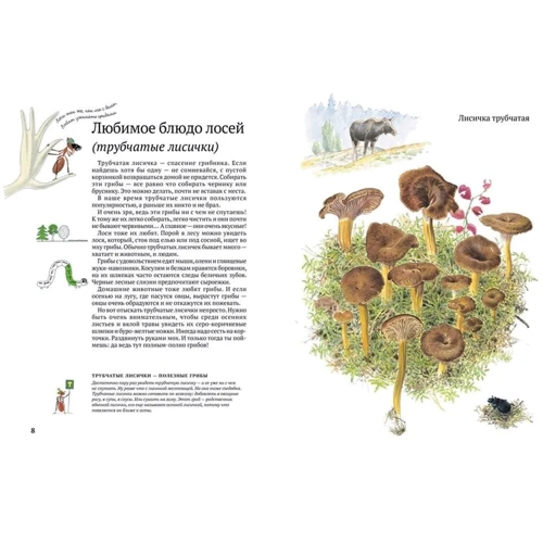 Стефан Каста: Софі в світі грибів: ISBN 978-5-906640-62-8