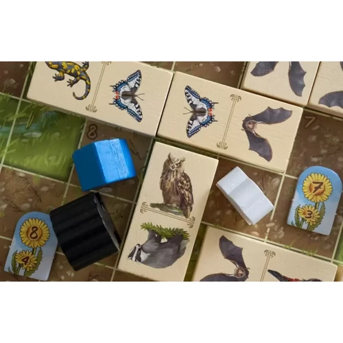 Настольная игра Capstone Games Renature - EN НА АНГЛИЙСКОМ ЯЗЫКЕ фото 8