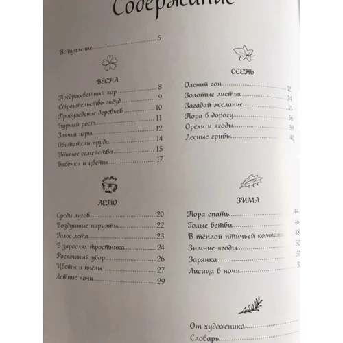 Хелен Апорнсири: Год в лесу: Количество страниц 64