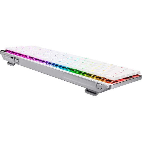 Клавиатура ASUS ROG Falchion RX Low Profile White (90MP03EC-BKUA10): Тип клавиатуры компактная