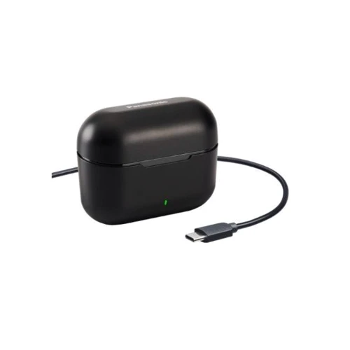 Наушники Panasonic RZ-B310W Black: Тип крепления без креплений