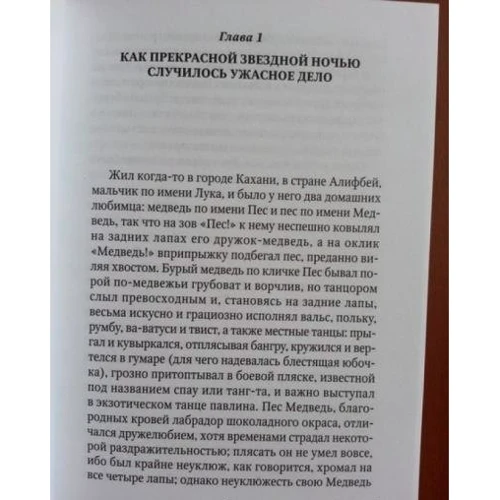 Салман Рушди: Лука и Огонь Жизни: Количество страниц 256