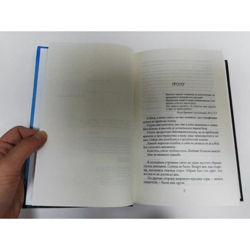 Хёрбьерг Вассма: Книга Діни: Кількість сторінок 542