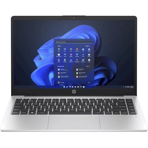 Ноутбук HP 245 G10 Turbo Silver (A23L1EA) UA