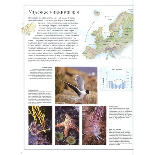 Ілюстрований Атлас Світ тварин: Кількість сторінок 264