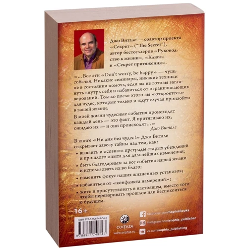 Джо Витале: Ни дня без чудес! Недостающий секрет истинного успеха: Простые советы инструктора по чудесам: Количество страниц 224