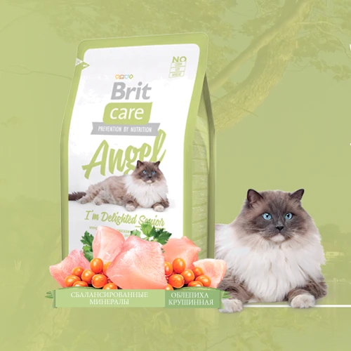 Сухой корм для пожилых кошек Brit Care Angel I am Delighted Senior 7 кг (8595602505784): Тип Сухой корм