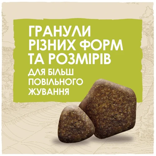 Сухой корм Dog Chow Adult 1+ для взрослых собак с ягненком 2.5кг (12493231): Тип Сухой корм