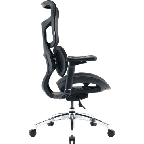 Офисное кресло Sihoo DORO S100 Mesh Black (S100-M301)