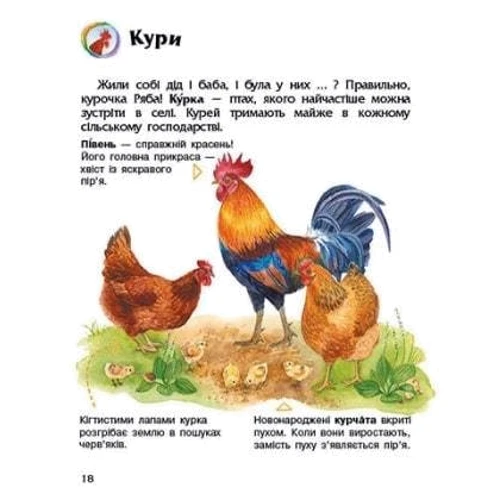 Енциклопедія дошкільника. Свійські тварини: Обложка Мягкая