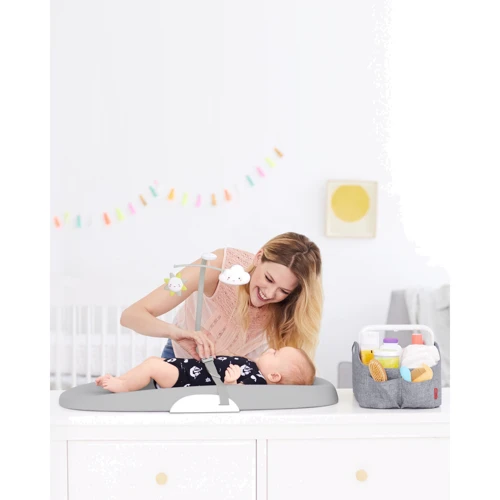 Органайзер Skip Hop с подсветкой, серый (304300)