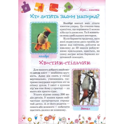 Володимир Верховень: Рекорди тварин. Енциклопедія для дітей: Количество страниц 72