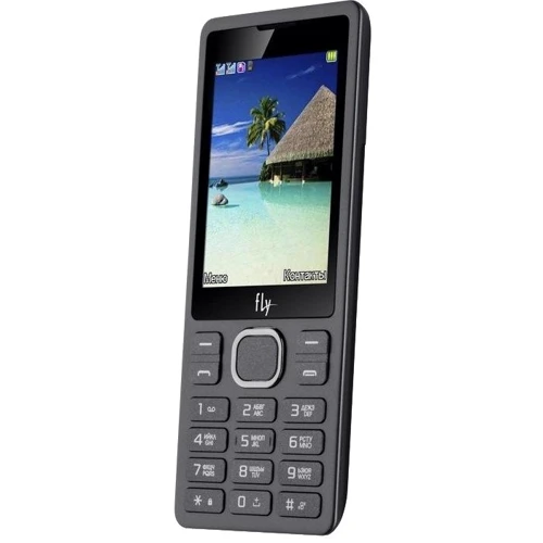 Мобильный телефон Fly FF282 Black (UA UCRF): Дисплей 2,8 ТN (320х240)