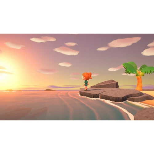 Animal Crossing: New Horizons (Nintendo Switch) фото 8