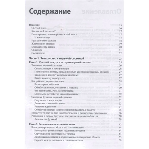 Фрэнк Амтор: Нейронауки для чайников: Производитель Диалектика