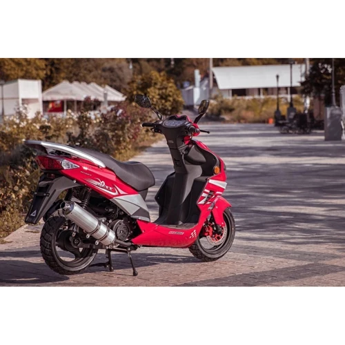 SKYBIKE PATROL/DEXX 150 RED: Допустимая нагрузка, кг 150