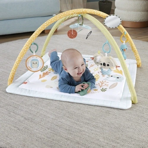 Коврик-игровой центр Fisher-Price Первые прикосновения ребенка (HRB15): Особенности игровые дуги