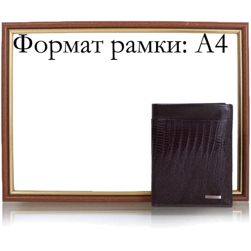 Мужское портмоне Grass темно-коричневое (SHI371-33): Тип Портмоне