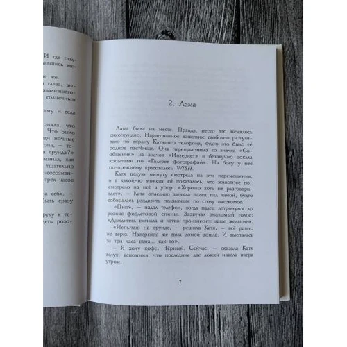 Ольга Замятіна: WISH. Програма, яка виконує бажання: Кількість сторінок 112