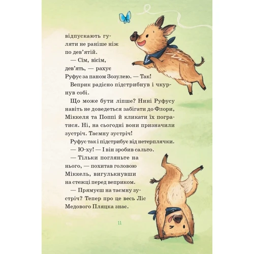 Андреа Шютце: Герої дикого лісу. Порятунок від смутку: Количество страниц 96