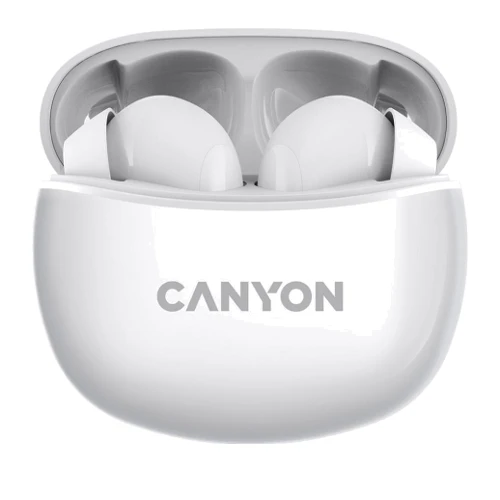 Наушники Canyon TWS-5 White (CNS-TWS5W)