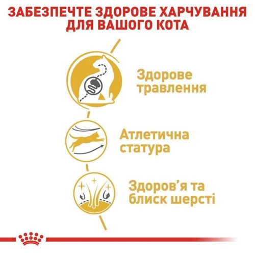 Сухий корм для котів Royal Canin Bengal Adult бенгальської породи 400 г (4370004): Вага упаковки 400 г