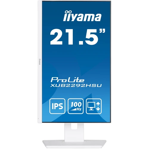 Монитор Iiyama ProLite XUB2292HSU-W6: Время реакции, мс 1
