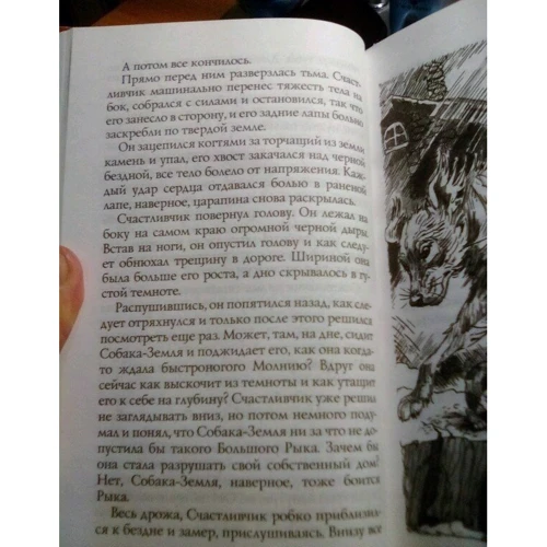 Эрин Хантер: Хроники Стаи. Пустой город: Производитель Абрис Олма