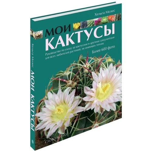Мои Кактусы