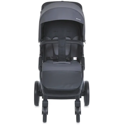 Прогулянковий візок El Camino Dynamic Pro Charcoal (ME 1053-3 Charcoal): Тип коляски Прогулочная