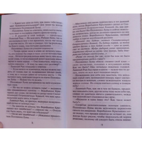 Эрин Хантер: Коты-воители. Солнечный путь: Количество страниц 352