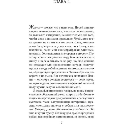 Гарт Стайн: Мистецтво бігу під дощем: Жанр Сучасна проза